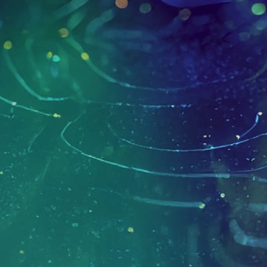 AI-enabled insider threat detection