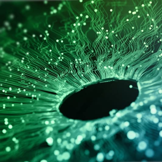Ask the right questions on Green AI